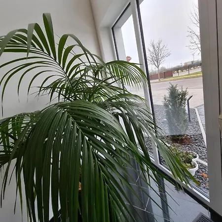 Otel Starton Am Village Ingolstadt