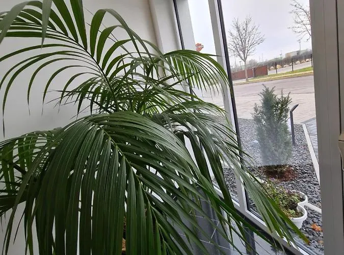 Hotel Starton Am Village Ingolstadt